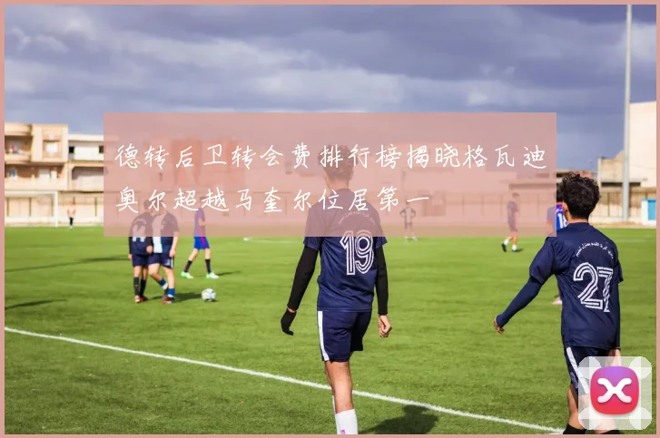 德转后卫转会费排行榜揭晓格瓦迪奥尔超越马奎尔位居第一
